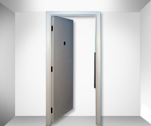 Shaft Doors